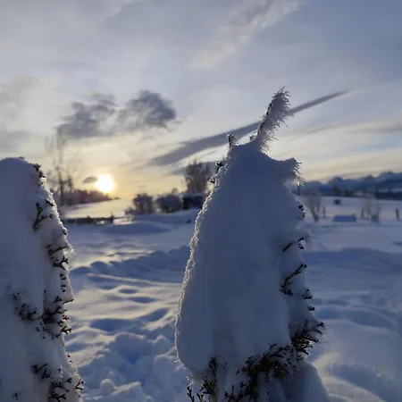 Semesterbostad Karpielove - Twoje Miejsce W Sercu Podhala *